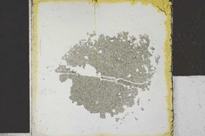 Plane Polarized, S27867