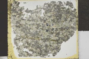 Plane Polarized, S27868