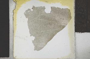 Plane Polarized, S27869