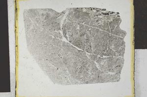Plane Polarized, S27870