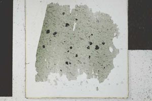 Plane Polarized, S27873