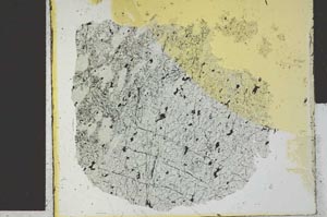 Plane Polarized, S27875