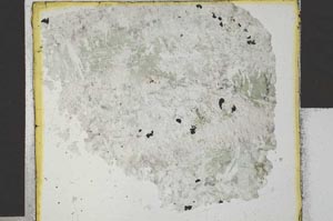 Plane Polarized, S27876