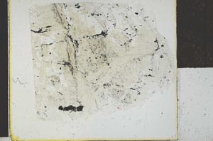Plane Polarized, S27878