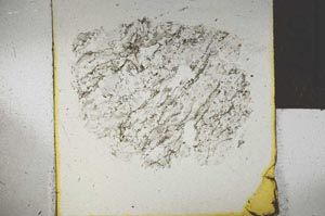 Plane Polarized, S27882