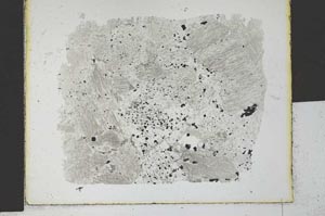 Plane Polarized, S27883
