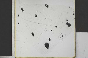 Plane Polarized, S27884