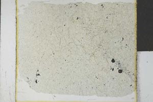 Plane Polarized, S27885