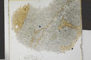 Plane Polarized, S27888