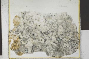 Plane Polarized, S27889