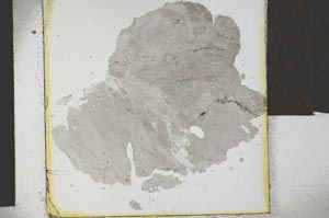 Plane Polarized, S27891