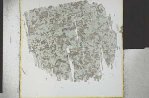 Plane Polarized, S27892