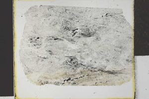 Plane Polarized, S27894