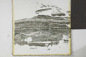 Plane Polarized, S27896