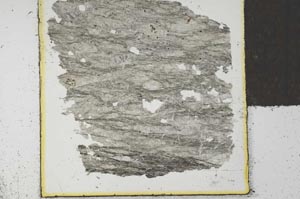 Plane Polarized, S27897