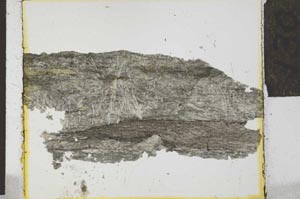 Plane Polarized, S27897/A