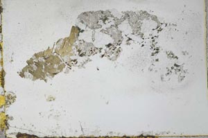 Plane Polarized, S27904