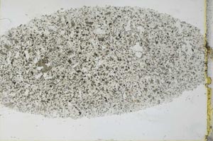 Plane Polarized, S27920