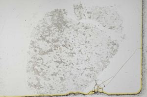 Plane Polarized, S27922