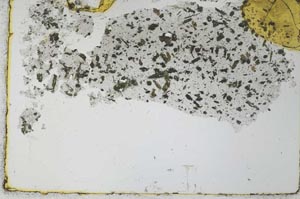 Plane Polarized, S27925
