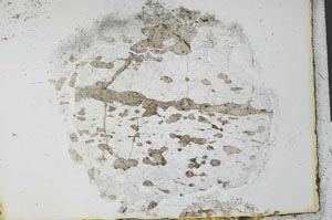 Plane Polarized, S27926