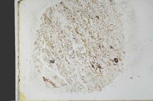 Plane Polarized, S27929