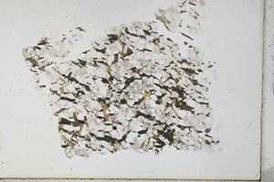 Plane Polarized, S27934