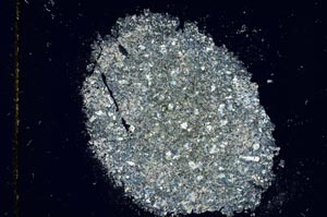 Cross Polarized, S27954