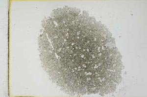 Plane Polarized, S27954