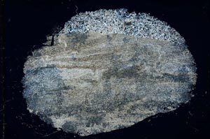 Cross Polarized, S27955