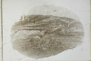 Plane Polarized, S27955