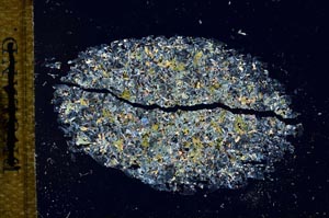 Cross Polarized, S27957