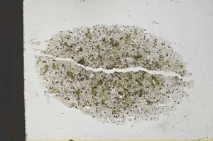 Plane Polarized, S27957