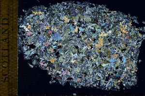 Cross Polarized, S27958