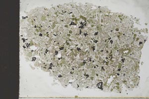 Plane Polarized, S27958