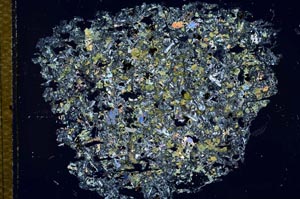 Cross Polarized, S27960