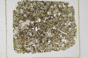 Plane Polarized, S27969