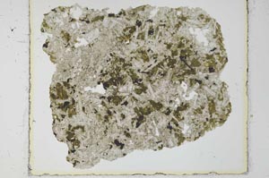 Plane Polarized, S27971