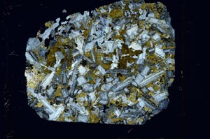 Cross Polarized, S27972