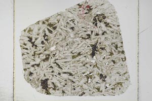 Plane Polarized, S27973