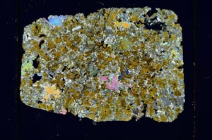 Cross Polarized, S27978