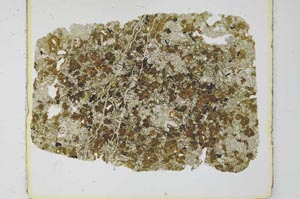 Plane Polarized, S27978