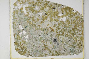 Plane Polarized, S27981