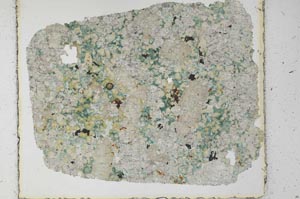 Plane Polarized, S27983