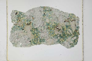 Plane Polarized, S27985