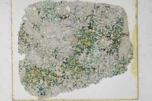 Plane Polarized, S27987