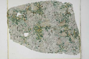 Plane Polarized, S27990