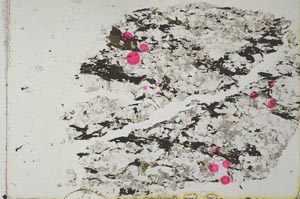 Plane Polarized, S28047