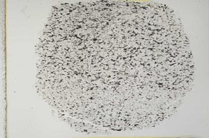 Plane Polarized, S28084