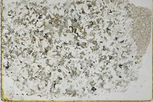 Plane Polarized, S28093